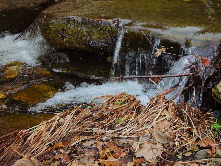 Running stream - by Tony Karp